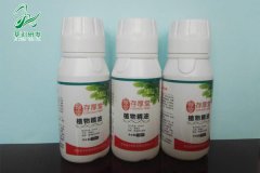植物精油助剂